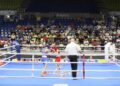 Rezultate în ziua a treia la Turneul internațional de box „Centura de Aur”