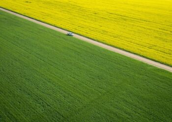 Fermieri europeni au obținut 1,46 milioane de euro din vânzarea creditelor de carbon generate prin agricultură regenerativă