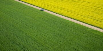 Fermieri europeni au obținut 1,46 milioane de euro din vânzarea creditelor de carbon generate prin agricultură regenerativă