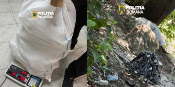 CERCETAȚI PENTRU INFRACȚIUNI LA REGIMUL PISCICOL