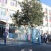 12 elevi din Brăila, admiși la colegiile naționale militare