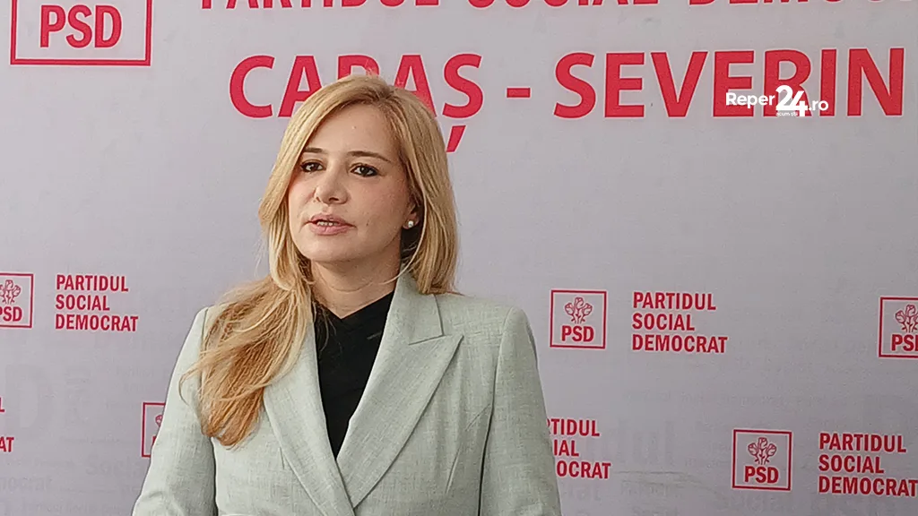 silvia mihalcea