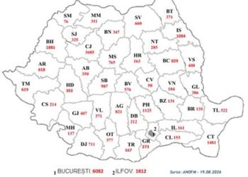 Brăila, printre județele cu cele mai puține oferte de angajare din România