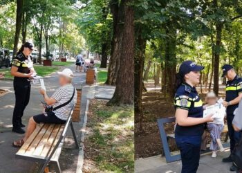 Activități desfășurate pentru protejarea victimelor și prevenirea violenței domestice
