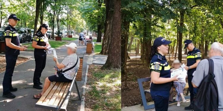 Activități desfășurate pentru protejarea victimelor și prevenirea violenței domestice