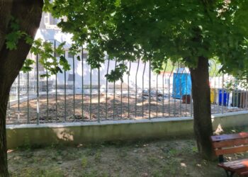 Dacă ar exista un simbol al “dezvoltării” actuale a orașului Brăila, acela ar fi, fără îndoială, bordura