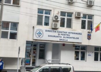 DSVSA Braila