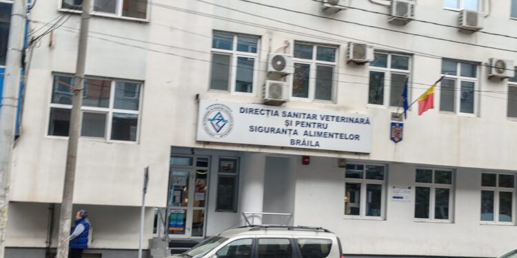 DSVSA Braila