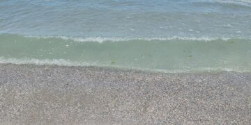 Plajele de pe litoralul Mării Negre s-au lărgit, dar marea a reacționat