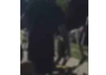 Copii agresați de un bărbat, în Parcul Monument din Brăila
