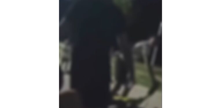 Copii agresați de un bărbat, în Parcul Monument din Brăila