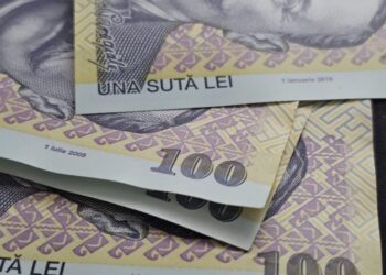 Situația Câștigului Salarial