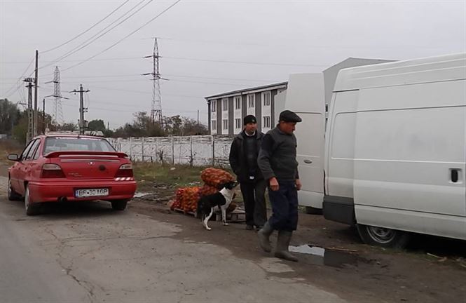 Accidentata in timp ce traversa prin loc nepermis