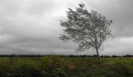 Update: Avertizare meteo prelungita pana marti la ora 21, vant și ploaie in Braila