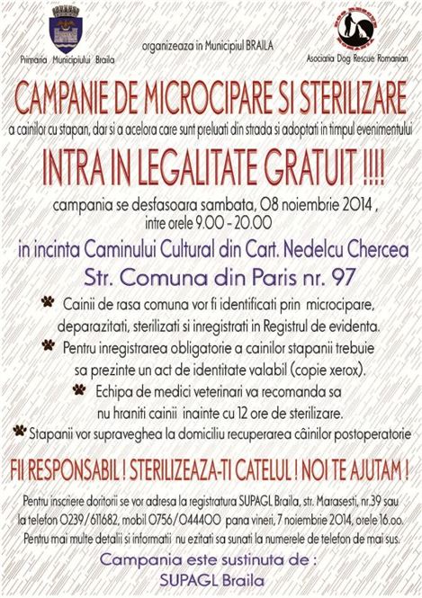 Campanie de sterilizare in cartierul Chercea