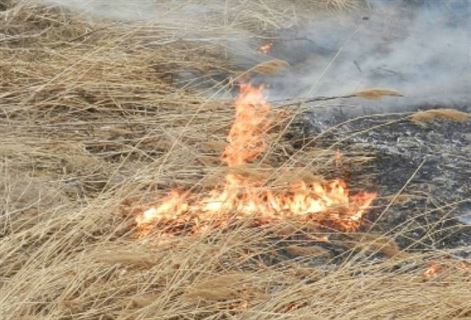 Cercetat pentru distrugere prin incendiere
