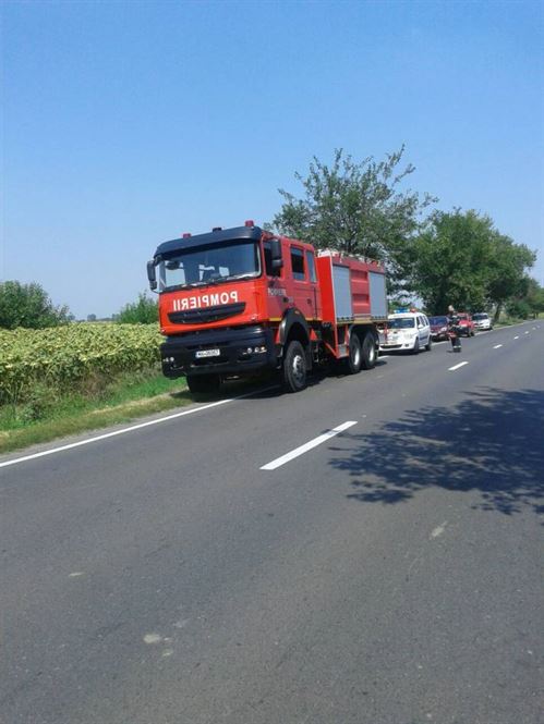 Din cauza caniculei a pierdut controlul volanului si a intrat intr-un lan de floarea soarelui