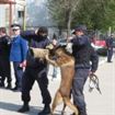 Ziaristii braileni au luat cu asalt jandarmeria