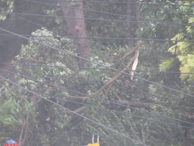 Galerie foto+video: Furtuna a facut ravagii