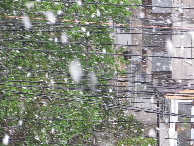 Vantul puternic a facut rafagii in Braila