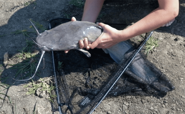Politia a confiscat 29 kg de somn