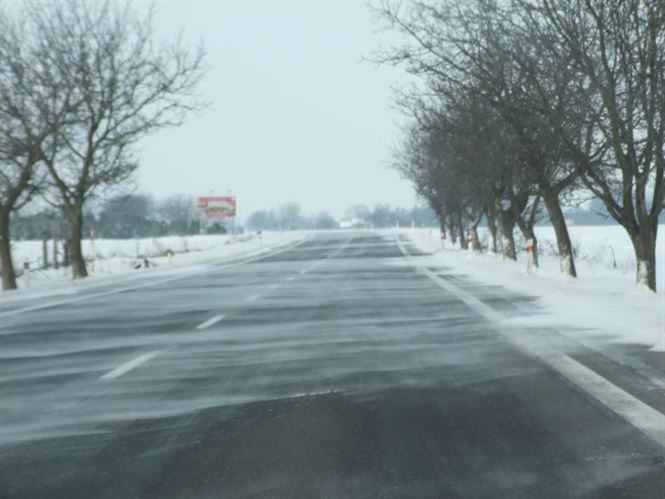 Update: Primele efecte ale codului galben in judetul Braila