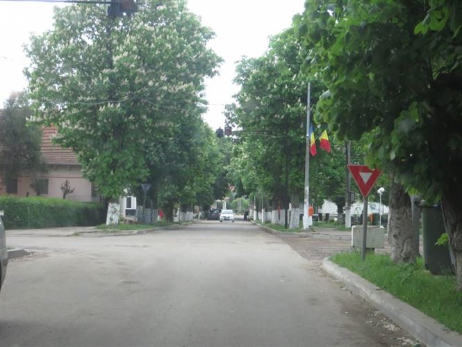 Autorul talharie de aseara, de la Faurei, a fost arestat preventiv pentru 30 de zile