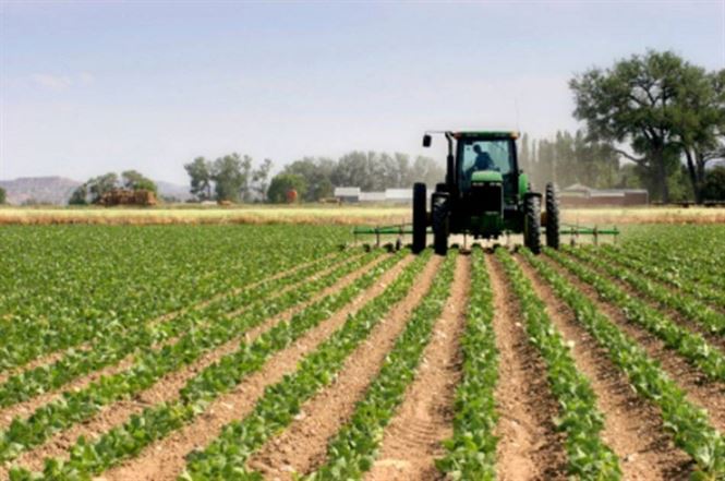 Termenul de depunere a cererilor pentru rambursarea accizei la motorina expira pe 31 octombrie