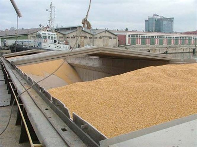 Vezi aici care sunt pretul cerealelor in aceasta saptamana