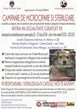 A inceput campania de sterilizare si microcipare a cainilor