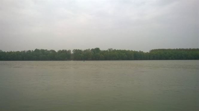 Cadavrul unui barbat a fost descoperit plutind pe Dunare