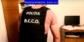 Percheziții în Brăila la un grup infracțional implicat în traficul de etnobotanice