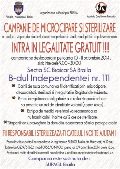 Campanie gratuita de sterilizare a cainilor cu stapan