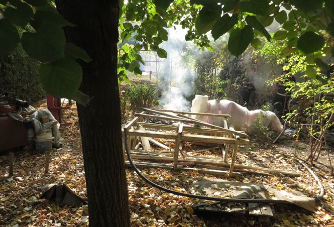 haine incendiate aruncate