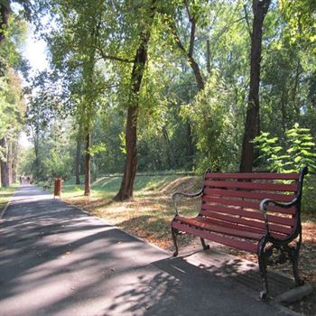Reabilitarea Parcului Monument costa peste 9 milioane