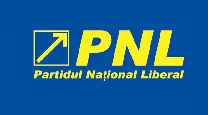 Braila are candidat la europarlamentare